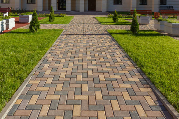 Best Driveway Paving Contractor  in Thorp, WI